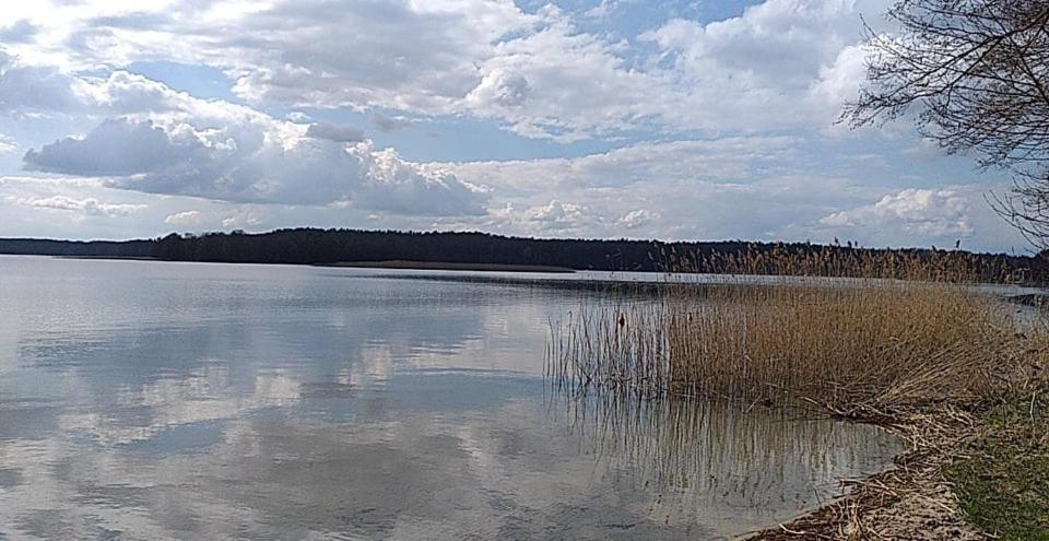 Apartamento Cztery Pory Warmii Pluski Pokoje Do Wynajecia Exterior foto