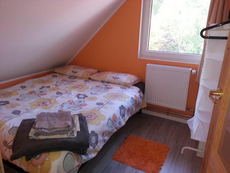 Apartamento Cztery Pory Warmii Pluski Pokoje Do Wynajecia Exterior foto